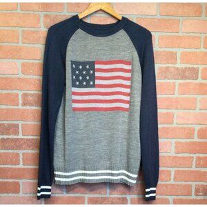 Terranova Mens American Flag Grey & Navy Sweater Size L Lightweight Preppy